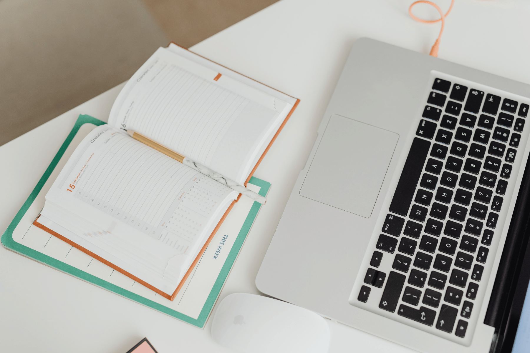 Can a scanned document be officially translated?