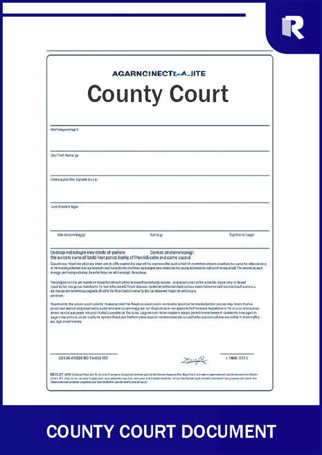 County Court document – Express Apostille service